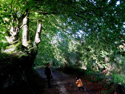 RANDONNEE DANS LA HAGUE - Photographie de Bertrand LEROUX - Musique de Michel ALLAIN