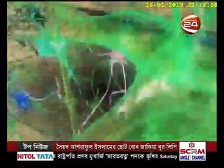 ঘুমহীন জীবন নিয়ে কী বলছে চিকিৎসা বিজ্ঞান? AnyNews24