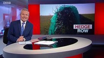 BBC1_Look North (East Yorkshire & Lincolnshire) evening news 4Mar19 - housing developer covered a hedgerow in netting