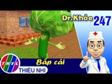 Dr. Khỏe – Tập 247: Bắp cải - Phần 2