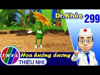 Dr. Khỏe – Tập 299: Hoa hướng dương - Phần 1