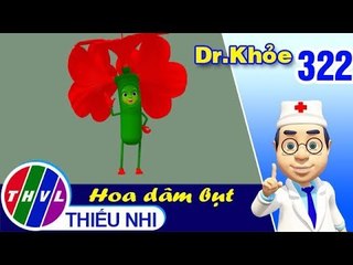 THVL | Dr. Khỏe – Tập 322: Hoa dâm bụt - Phần 2