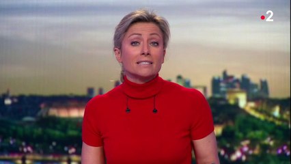 Carlos Ghosn : libéré sous caution