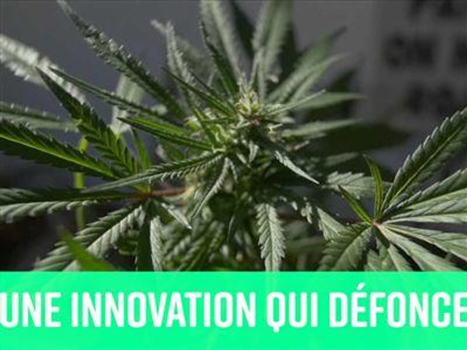 La nouvelle invention qui permet de " brasser " de l'herbe