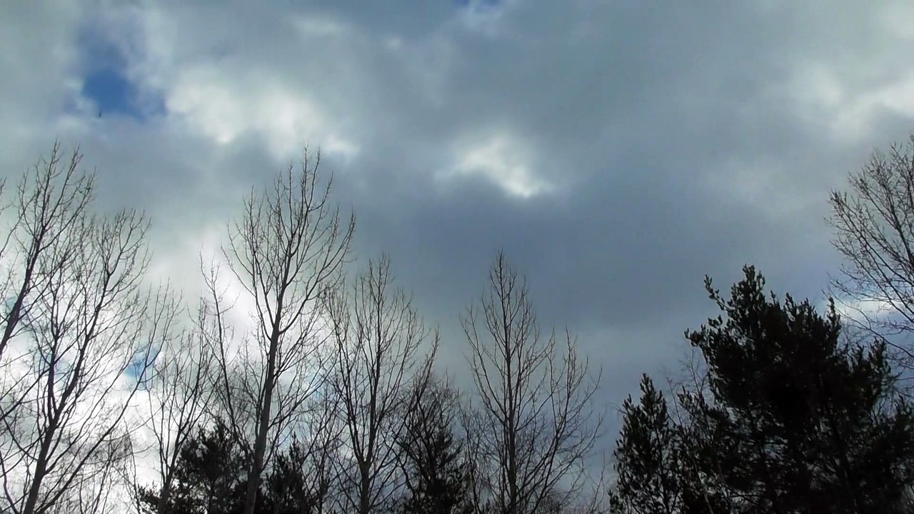 Feb 19 2019 DL10