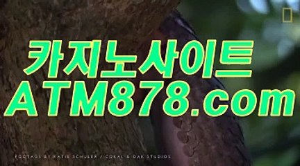 온라인바카라이기는법 〔〔TTS332、C O M 〕〕 온라인바카라이기는법