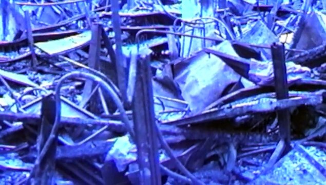 The L.A. Riots: Rising from the Ashes - Scott Shaw Zen Filmmaking.