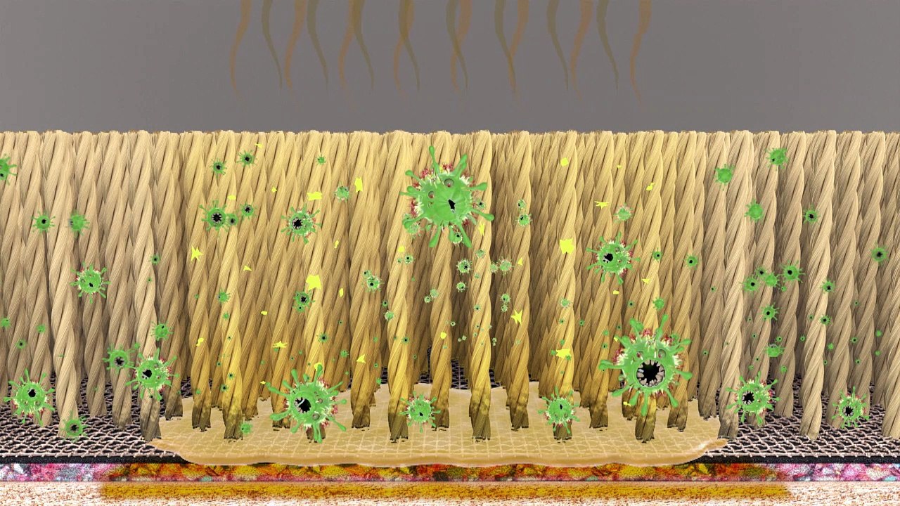 Pet-Dog-Cat-Urine-Odor-Removal-Johnson-County-Chem-Dry