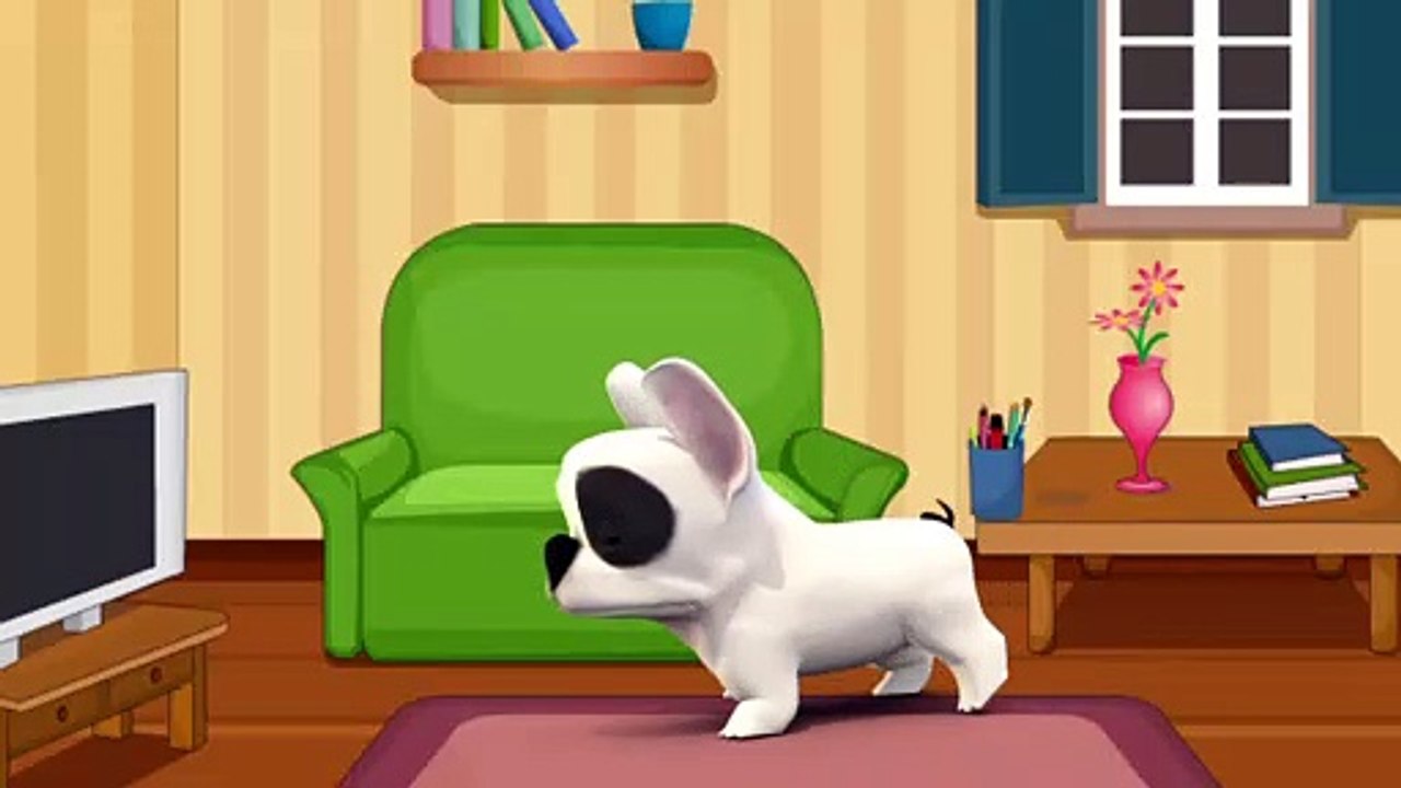 Carpet-Cleaning-Burleson-Pet-urine-odor-removal-1