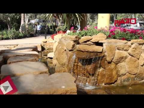 اتفرج | معرض زهور الربيع في حديقة الأورمان