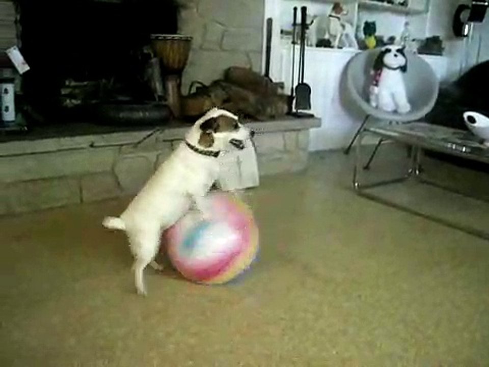 Morganna with Ball Aug 1, 2008