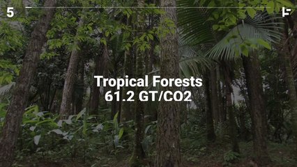 Top 10 Biggest Opportunities to Fight Global Warming