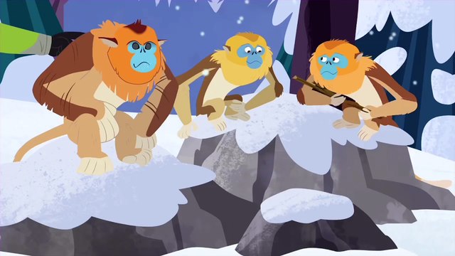 Wild Kratts ️ Frosty Creatures Kids Videos
