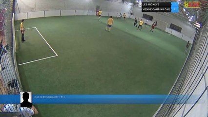 LES MICKEYS Vs VIENNE CAMPING CAR - 05/03/19 19:18 - LIGUE 4  - Poitiers Game Parc