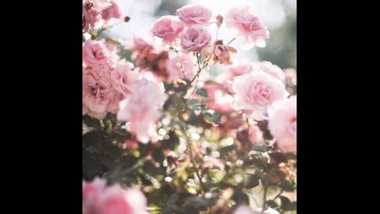 Milton Nascimento - E daí...A queda