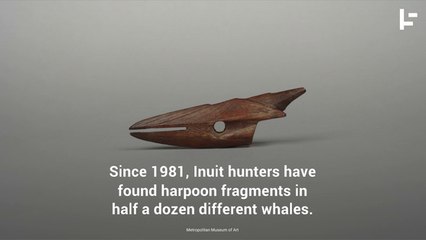 200 Years Old: The World Longevity Record