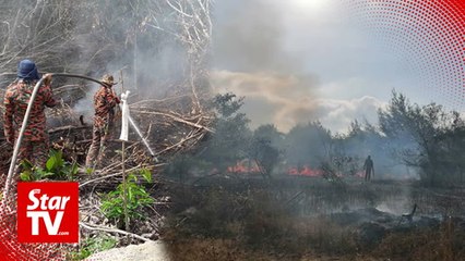 下载视频: Wildfires flaring up again in northern Sarawak