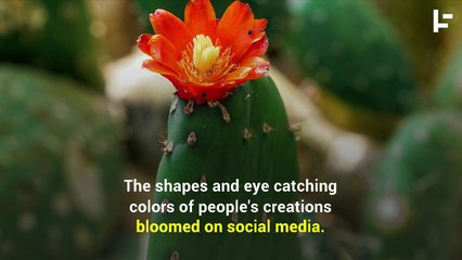 Why Cactuses and Succulents are Taking Over the World