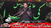 Zakir Asad Abbas Haidry Vanikay Tarar 20th Muhram 1440(2018) Choti Behak Hafizabad