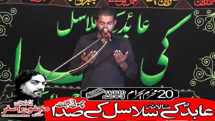 Zakir Asad Abbas Haidry Vanikay Tarar 20th Muhram 1440(2018) Choti Behak Hafizabad
