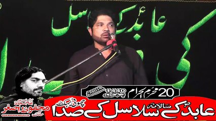 Zakir Malik Abid Hussain Melsi 20th Muhram 1440(2018) Choti Behak Hafizabad