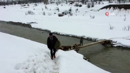 Hem insanların hemde hayvanların kullandığı bu köprünün hiçbir koruması yok