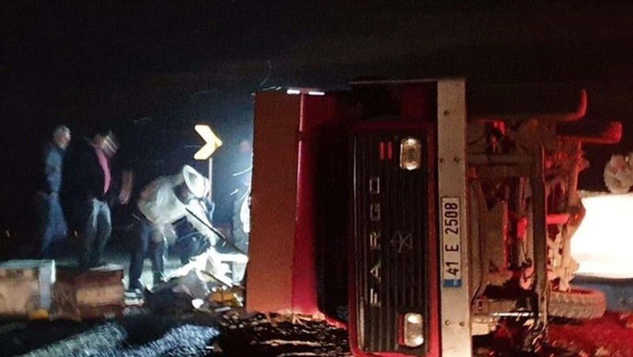 Arı kovanı yüklü kamyonet devrildi binlerce arı serbest kaldı