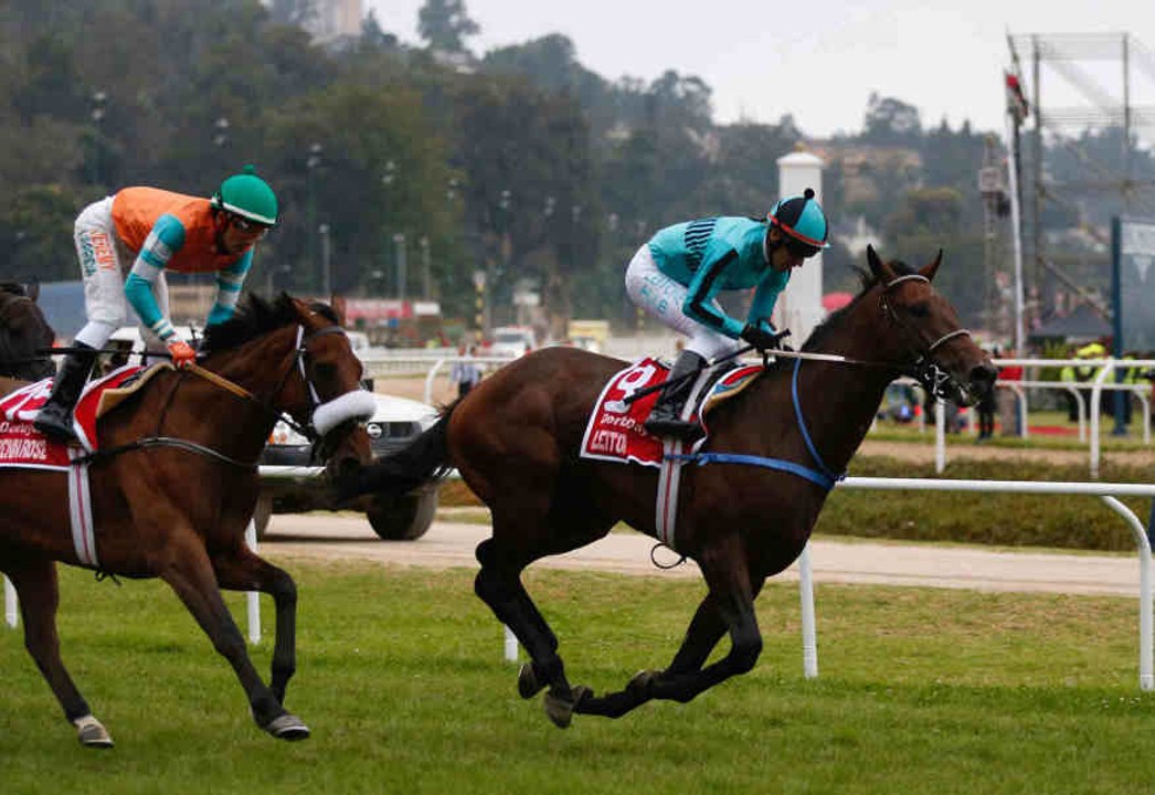 Die Karrieren im Pferderennen