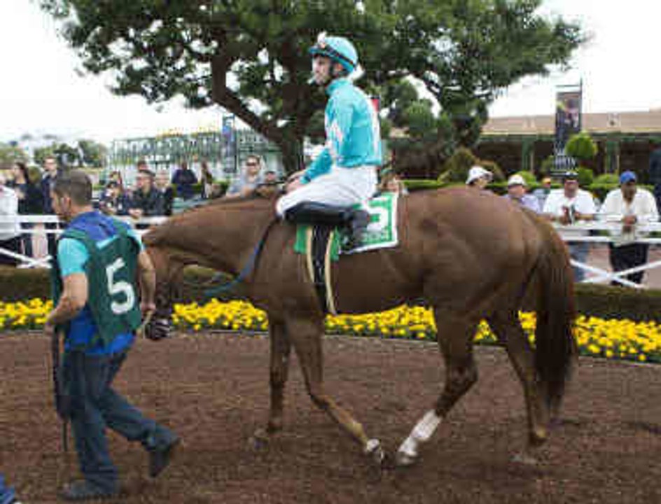 Wie wird man professioneller Jockey?