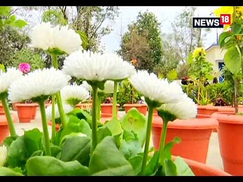 पुलवामा के शहीदों की याद में अनोखी वाटिका