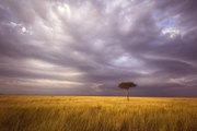 Die Auswirkungen des Klimawandels auf unsere Gesundheit