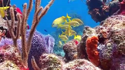 칠곡출장안마 -100%미인ョØ7Øe8782a38ØØ【카톡DKS798】칠곡전지역출장마사지샵칠곡출장go안마ok칠곡출장마사지황형ゃやゅ출장맛사지조건만남