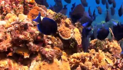 거창출장안마 -100%미인ョØ7Øe8782a38ØØ【카톡DKS798】거창전지역출장마사지샵거창출장go안마ok거창출장마사지황형スズセ출장미인모텔출장