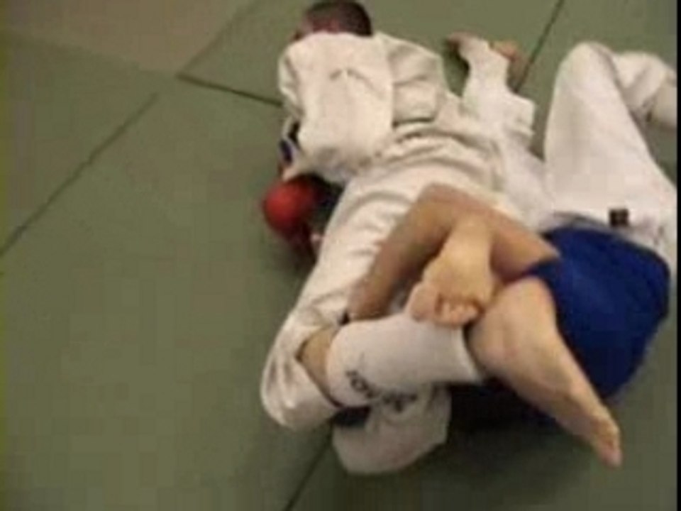 bandi free fight