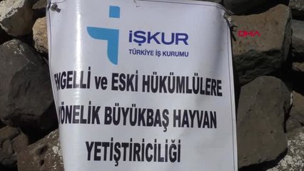 Şırnak Cezaevinden Çıktı, Destek Alıp Hayvancılık Yapmaya Başladı