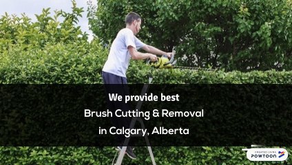 Brush Cutting & Removal in Calgary, Alberta