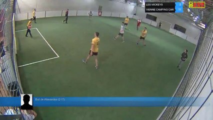 But de Alexandre (2-11) - LES MICKEYS Vs VIENNE CAMPING CAR - 05/03/19 19:18 - LIGUE 4