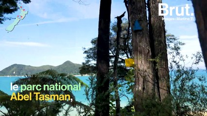 Le road trip parfait en Nouvelle-Zélande