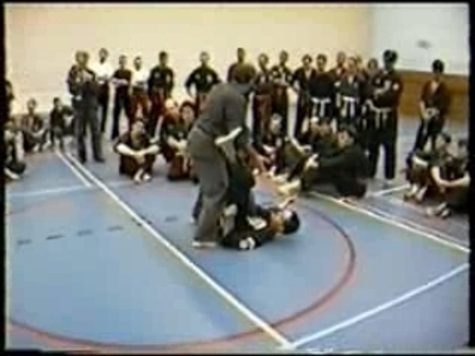 Skip Hancock - Kenpo In Utrecht, The Netherlands 1994