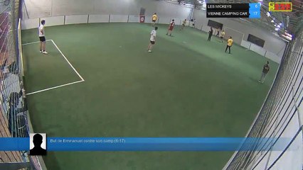 But de Emmanuel contre son camp (6-17) - LES MICKEYS Vs VIENNE CAMPING CAR - 05/03/19 19:18