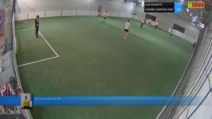 But de Fabien (6-22) - LES MICKEYS Vs VIENNE CAMPING CAR - 05/03/19 19:18 - LIGUE 4