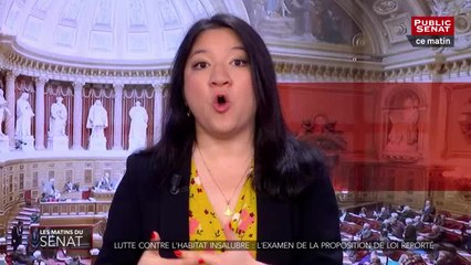 PPL sur le logement insalubre - Les matins du Sénat (06/03/2019)