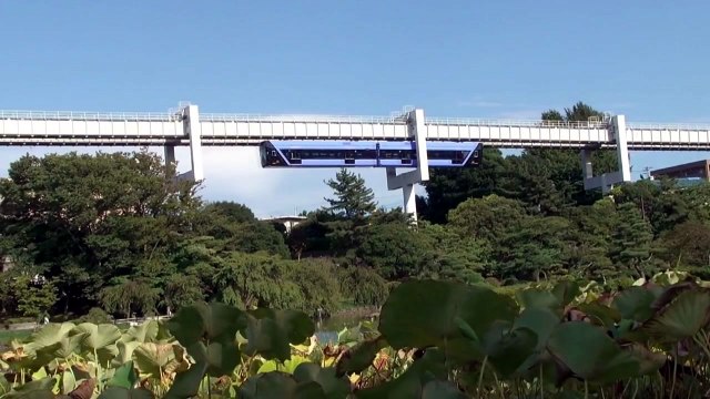 [경기] '평화 모노레일' 타고 DMZ 관광 / YTN