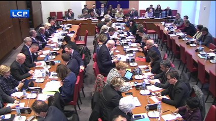 Projet de loi santé : Agnès Buzyn auditionnée par la commission des affaires sociales