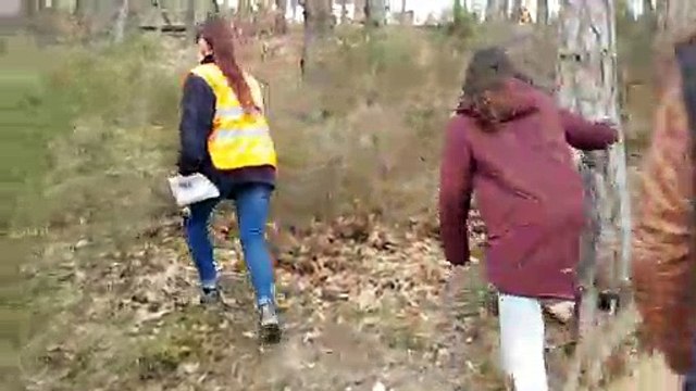 Volontaires et salariés à la recherche du panda roux disparu à Ardes-sur-Couze