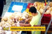 Ate Vitarte: venden pollos en condiciones insalubres que serían distribuidos en todo Lima