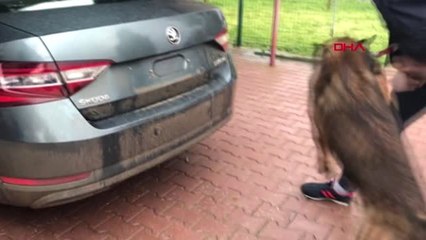 Adana Adana'da 150 Kilo Esrar Ele Geçirildi