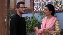 Ranjha Ranjha Kardi Epe 14 HUM TV Drama - Iqra Aziz, Imran Ashraf & Syed Jibran