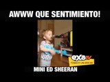 Mini Ed Sheeran