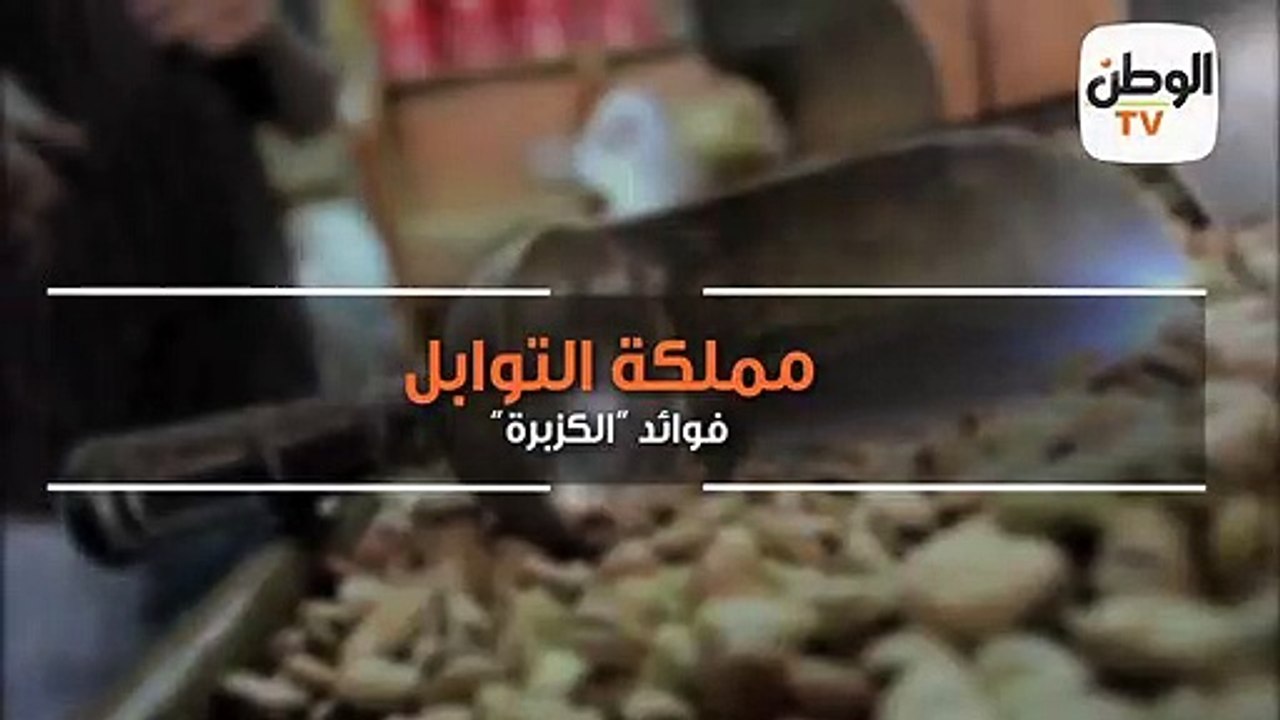 مملكة التوابل .. فوائد الكزبرة